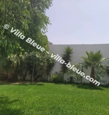 Garden view with lawn in the foreground and landscaped trees along the wall