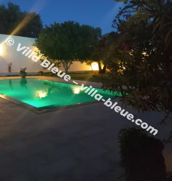 Swimming pool illuminated at night with green light